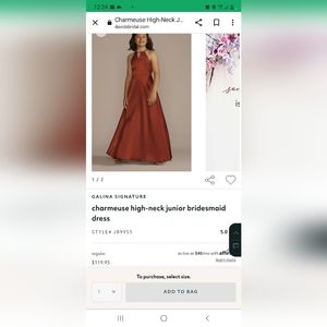 Jr. Bridesmaid Dress from the Galina Signature brand. Size 14 cinnamon color.